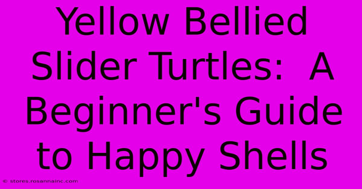 Yellow Bellied Slider Turtles:  A Beginner's Guide To Happy Shells