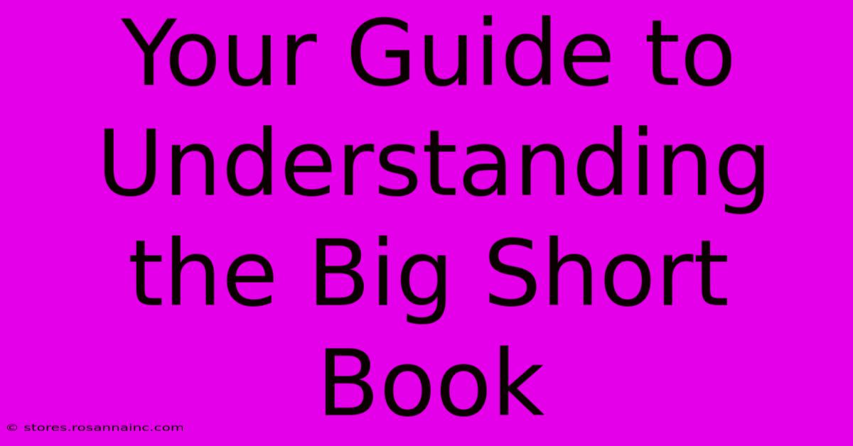 Your Guide To Understanding The Big Short Book